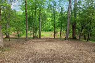 241 Bramlett Rd, Greer, SC 29651 - Photo 49