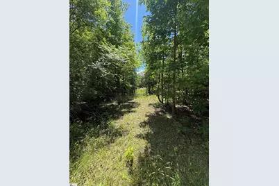 106 Fawn Drive, Honea Path, SC 29654 - Photo 3