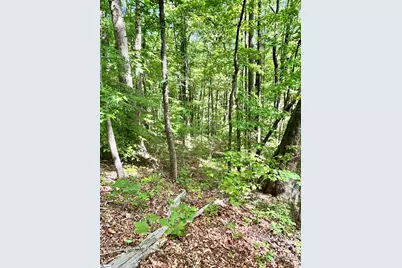 [Address not provided], Travelers Rest, SC 29690 - Photo 13