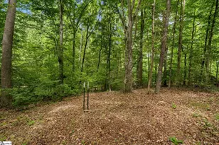 141 Lone Eagle Way, Iva, SC 29655 - Photo 35