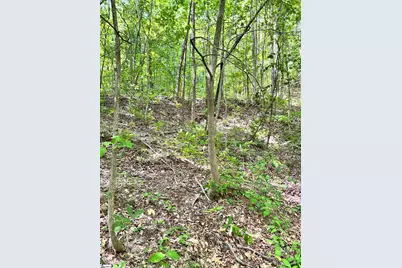 [Address not provided], Landrum, SC 29356 - Photo 11