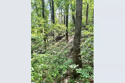 [Address not provided], Landrum, SC 29356 - Photo 9