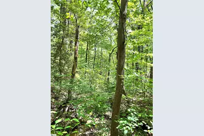 [Address not provided], Landrum, SC 29356 - Photo 5
