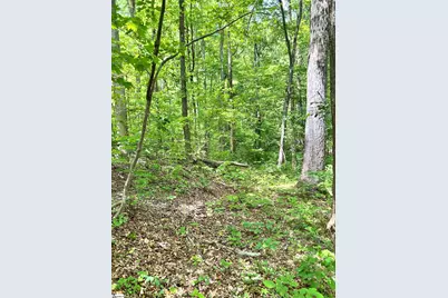 [Address not provided], Landrum, SC 29356 - Photo 3