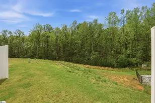 922 Powder Crk Dr, Reidville, SC 29375 - Photo 21