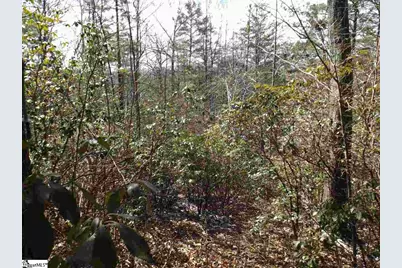 130 Fairway Woods Drive #Lot 14 Fairway Woods Drive, Pickens, SC 29671 - Photo 13