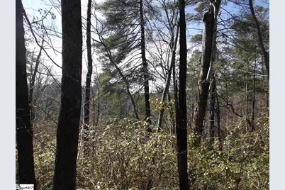 130 Fairway Woods Drive #Lot 14 Fairway Woods Drive, Pickens, SC 29671 - Photo 7
