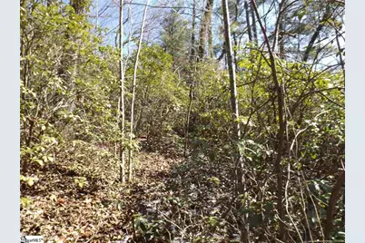 130 Fairway Woods Drive #Lot 14 Fairway Woods Drive, Pickens, SC 29671 - Photo 11