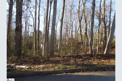 0 Heathwood Drive, Spartanburg, SC 29307 - Photo 3