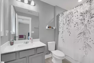 313 Bristle Fern Trail, Simpsonville, SC 29680 - Photo 29