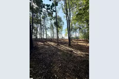 0 Thompson Road #Lot 3, Greer, SC 29651 - Photo 13