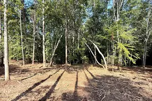 0 Thompson Rd, Greer, SC 29651 - Photo 1