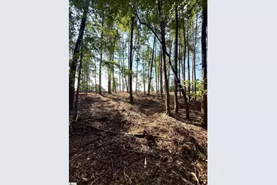 0 Thompson Road #Lot 3, Greer, SC 29651 - Photo 3