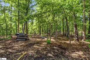 20 Sunset View Ln, Marietta, SC 29661 - Photo 41