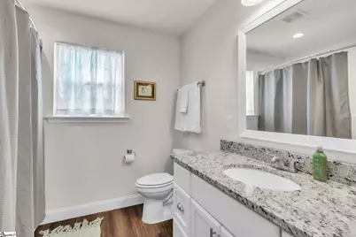 210 Tesla Court, Lyman, SC 29365 - Photo 15