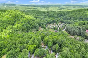 189 Friendly Cir, Saluda, NC 28773 - Photo 31
