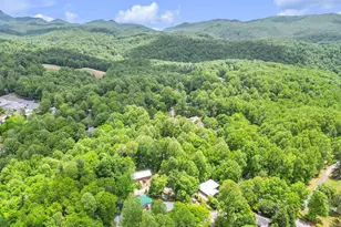 189 Friendly Cir, Saluda, NC 28773 - Photo 33