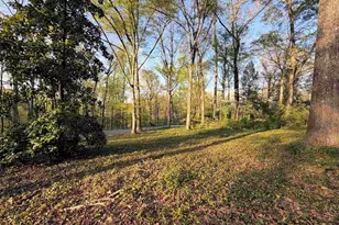418 Woodland Way, Greenville, SC 29607 - Photo 45