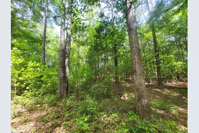162 Courtney Road, Cowpens, SC 29330 - Photo 3