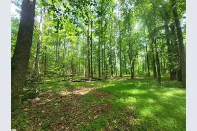 162 Courtney Road, Cowpens, SC 29330 - Photo 5