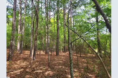 0 Love Springs Road, Cowpens, SC 29303 - Photo 3