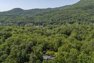 484 Sourwood Ridge Rd, Tryon, NC 28782 - Photo 43