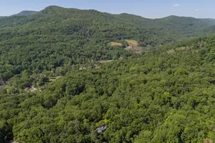 484 Sourwood Ridge Rd, Tryon, NC 28782 - Photo 45