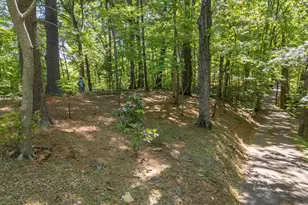 484 Sourwood Ridge Rd, Tryon, NC 28782 - Photo 39