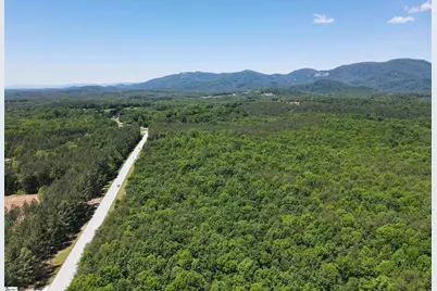 171 Highway 11, Landrum, SC 29356 - Photo 49