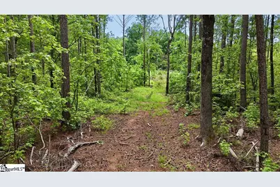 00 Todd Quarter Road, Waterloo, SC 29384 - Photo 7
