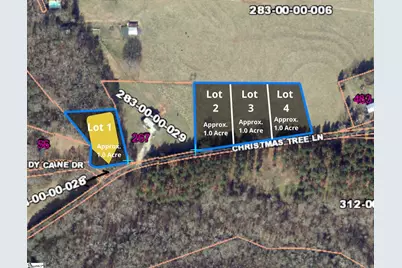 100 Living Waters Trail Lot #1, Woodruff, SC 29388 - Photo 1