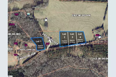 100 Living Waters Trail Lot #2, Woodruff, SC 29388 - Photo 9