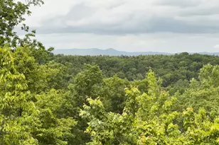 296 Long Mountain Rd, Pickens, SC 29671 - Photo 11