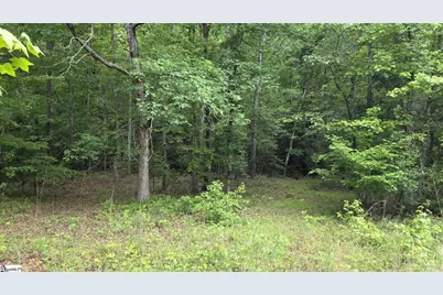 862 Dunklin Bridge Road, Fountain Inn, SC 29644 - Photo 15