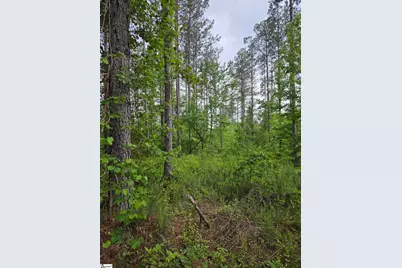 862 Dunklin Bridge Road, Fountain Inn, SC 29644 - Photo 17