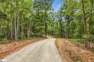 3849 Buffalo-West Springs Hwy, Jonesville, SC 29353 - Photo 35