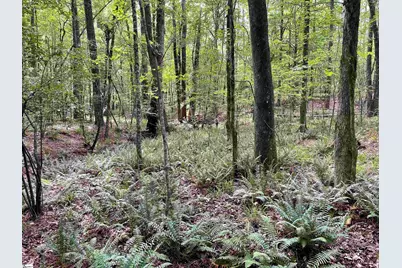 00 Willington Academy Drive, McCormick, SC 28835 - Photo 31