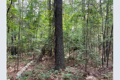 00 Willington Academy Drive, McCormick, SC 28835 - Photo 27