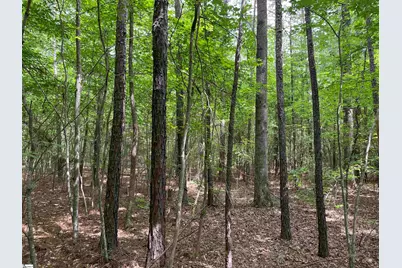 00 Willington Academy Drive, McCormick, SC 28835 - Photo 25