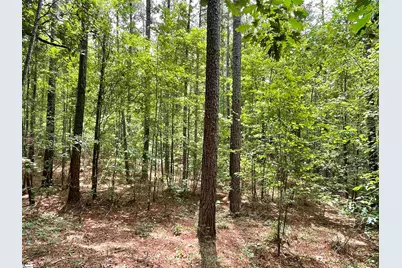 00 McIntosh Road, McCormick, SC 28835 - Photo 7