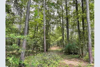 00 McIntosh Road, McCormick, SC 28835 - Photo 19