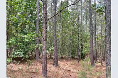 00 McIntosh Road, McCormick, SC 28835 - Photo 11