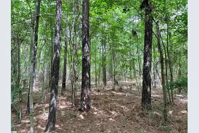 00 Willington Academy Drive, McCormick, SC 28835 - Photo 5