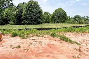 17994 Hwy 101 S, Gray Court, SC 29645 - Photo 11