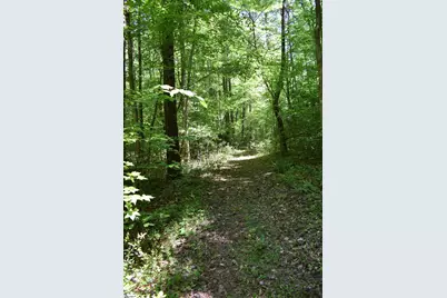 Floyd Blackwell Road, Tryon, NC 28722 - Photo 25