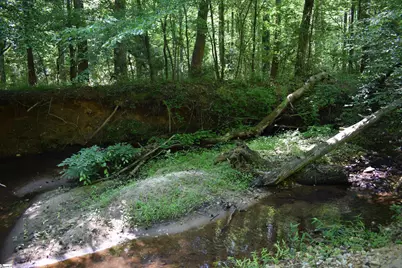 Floyd Blackwell Road, Tryon, NC 28722 - Photo 9