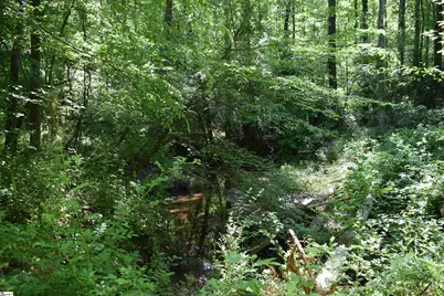 Floyd Blackwell Road, Tryon, NC 28722 - Photo 5