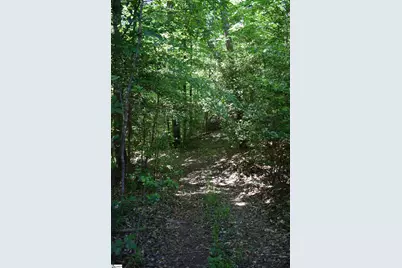 Floyd Blackwell Road, Tryon, NC 28722 - Photo 3