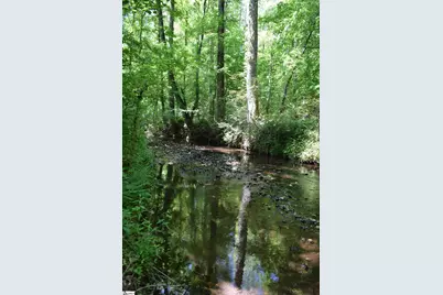 Floyd Blackwell Road, Tryon, NC 28722 - Photo 23