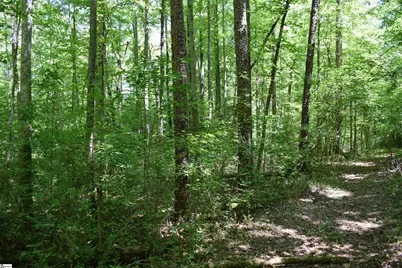Floyd Blackwell Road, Tryon, NC 28722 - Photo 23